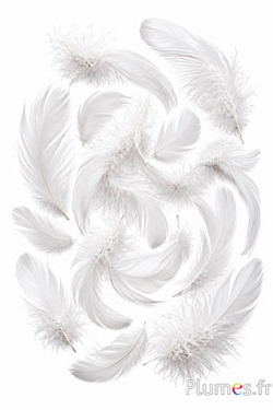 Gans - 4-6 cm - weiss
